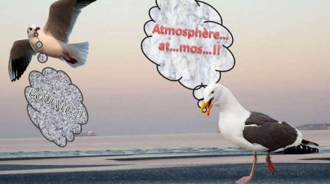 Conférence Qualité de l'AIR dans notre région