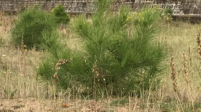 ASB Sortie p�dagogique avec F. Dallet