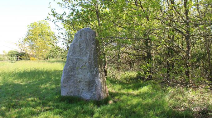 Culture et patrimoine