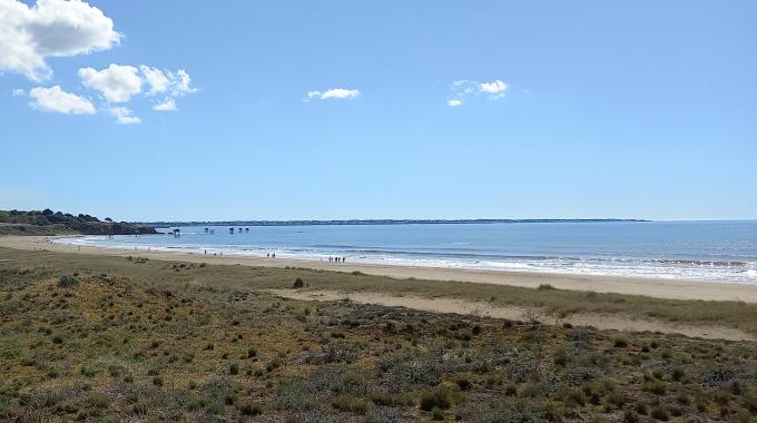 Plages :nouveaux drapeaux