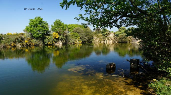 10 000 arbres à Saint Brevin
