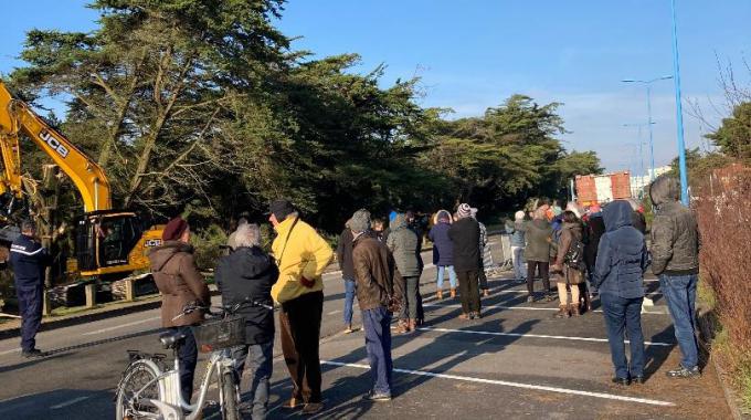 Opération brutale d'abattage de cyprès à Saint Brevin