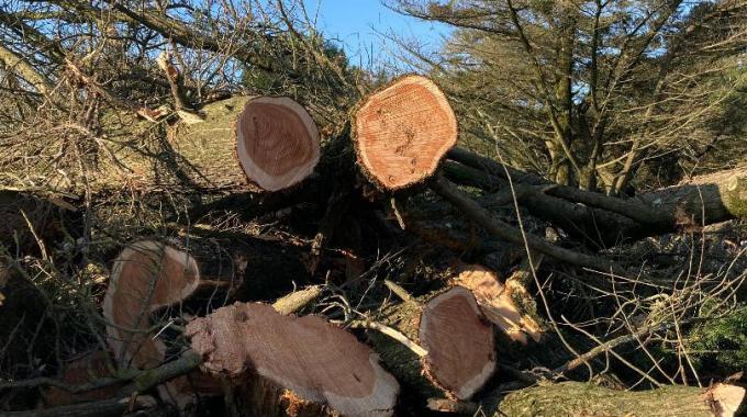 CME : Intervention des ASB