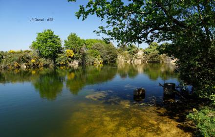Expo : Ste Catherine & Cohabiter avec les arbres